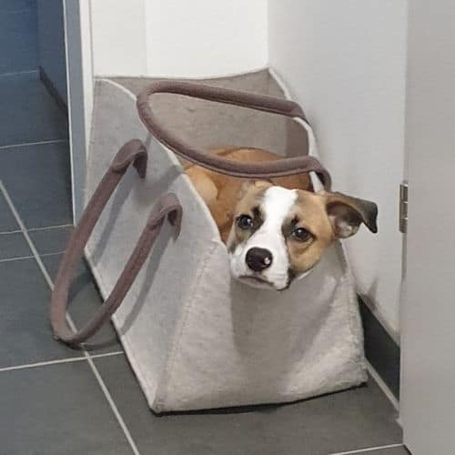 Cookie-Tasche